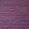 RAFFIA PALM T24064